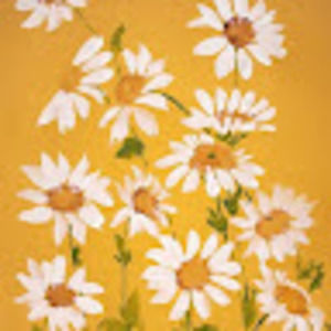 Meet your Posher, Stevie